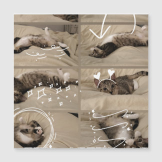 Söt Kattunge Postkort