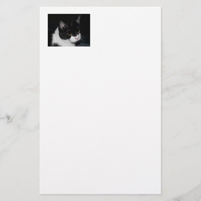 Söt Kattunge Stationery Brevpapper (Framsida)