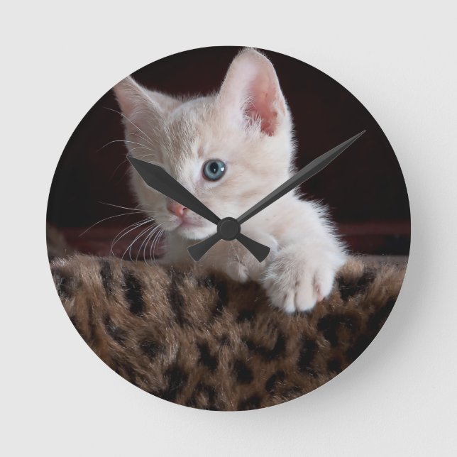 Söt Kattunge Tittar Rund Klocka (Framsida)