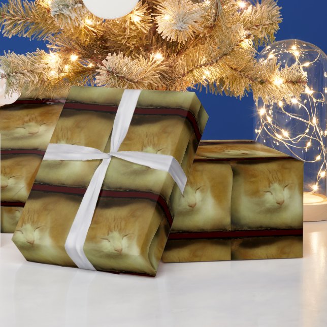 Söt Kattunge Wrapping Papper Presentpapper (Helgdagar)