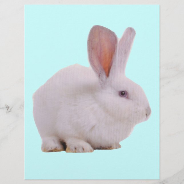 Söt Kawaii Kanin (Framsida)