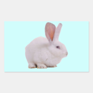 Söt Kawaii Kanin Rektangulärt Klistermärke