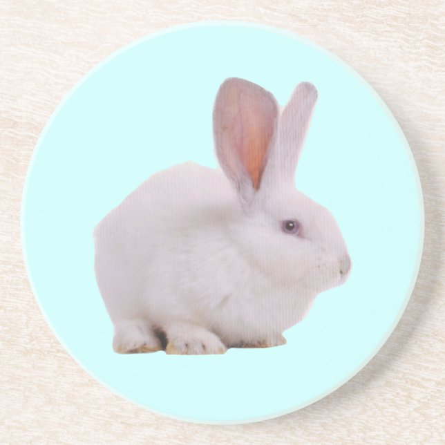 Söt Kawaii Kanin Underlägg Sandsten (Framsidan)