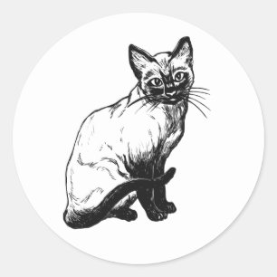 Söt Kitty Kattunge Illustration Svart Vit Katt Runt Klistermärke