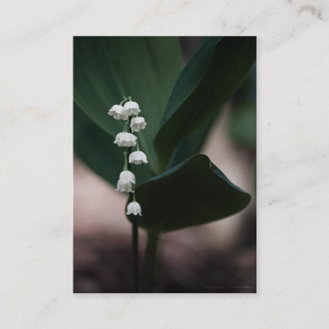 Söt Klockor Mini-utskrift Visitkort (Framsida)