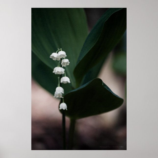 Söt Klockor Skriv ut Poster (Framsidan)