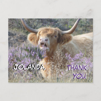 Söt ko närbild tackkort vykort