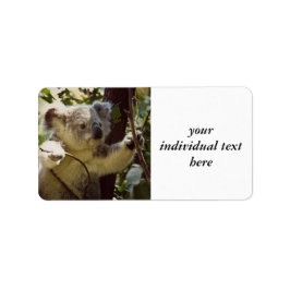 Söt Koala baby Adressetikett