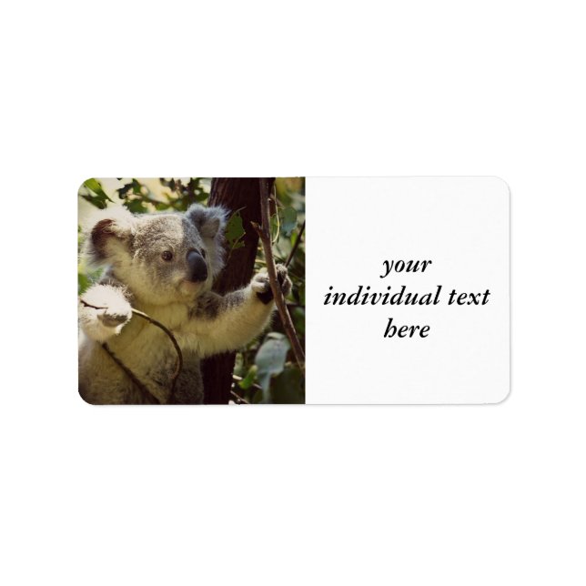 Söt Koala baby Adressetikett (Framsidan)