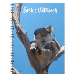 Söt koala sover i ett träd Australien Anteckningsbok