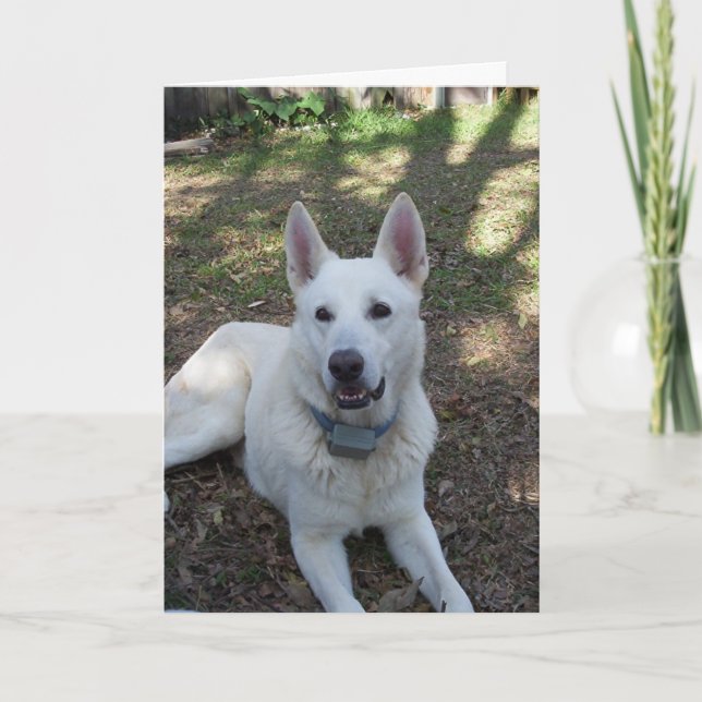 söt kort (Framsida)