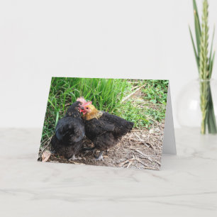 Söt kramande kycklingar Fotografi Anpassad Kort