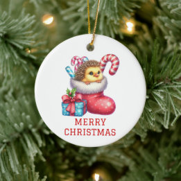 Söt kyckling med igelkottspäls jul julgransprydnad keramik
