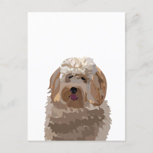 Söt Labradoodle Hund Vykort