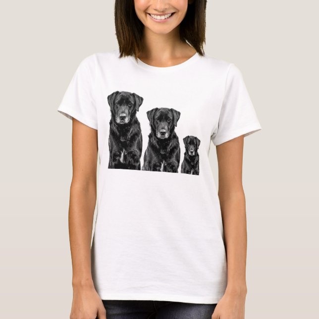Söt Labrador Svart Hund Valp Husdjur Evolution T Shirt (Framsida)