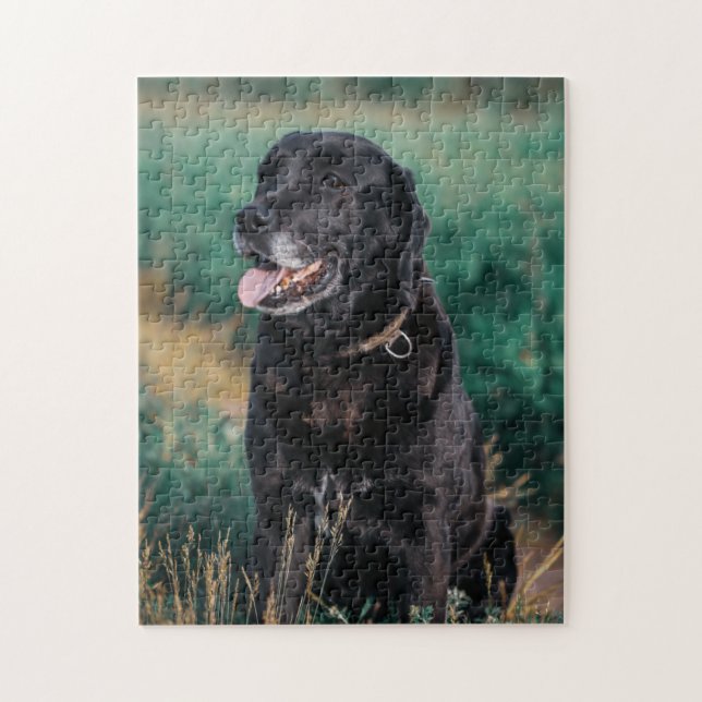 Söt Labrador Svart Hund Valp Husdjur Pussel (Vertikal)