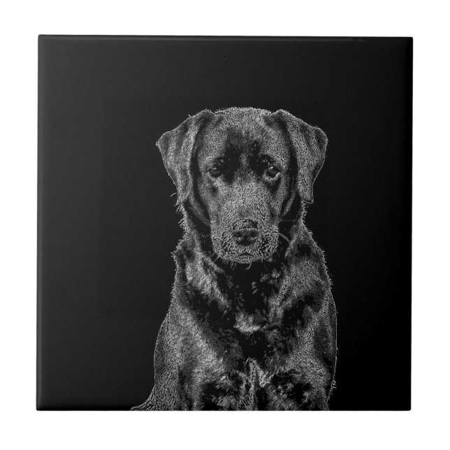 Söt Labrador Svart Hund Valp Husdjur Skiss Kakelplatta (Framsidan)
