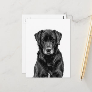 Söt Labrador Svart Hund Valp Husdjur Skiss Vykort