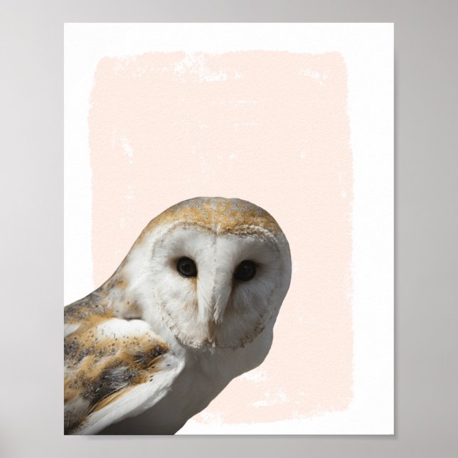 Söt Ladornauggla Barnkammare Poster (Framsidan)