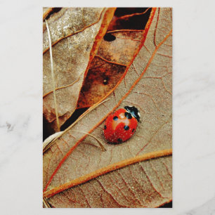 Söt Ladybug-kostym personliggör namn-gåva