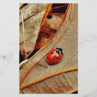 Söt Ladybug-kostym personliggör namn-gåva