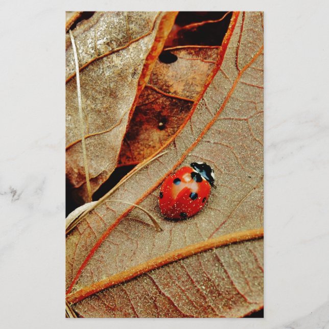 Söt Ladybug-kostym personliggör namn-gåva (Framsida)