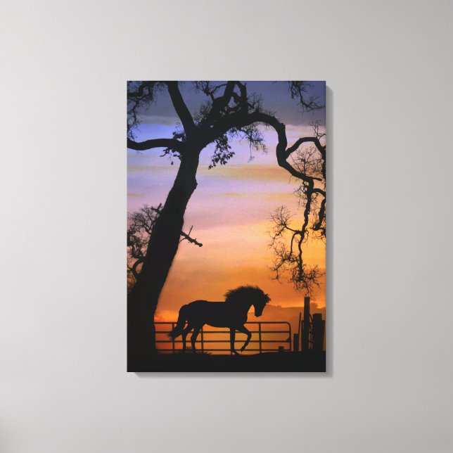 Söt Land Horse i A sydvästra Sunrise Canvastryck (Framsida)