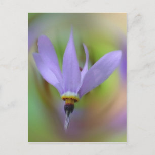 Söt Lavender Lila Vild Flower Vykort