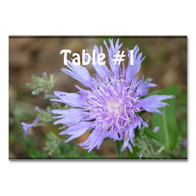 Söt Lavender Scabiosa Bordsnummer (Framsidan)