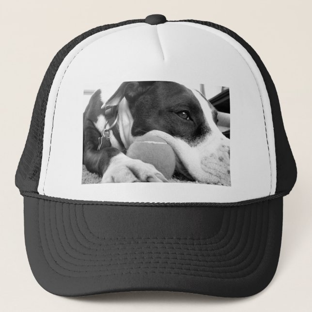 Söt ledsen tittar hund svart vit med boll keps (Framsida)