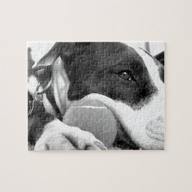 Söt ledsen tittar hund svart vit med boll pussel (Horisontell)