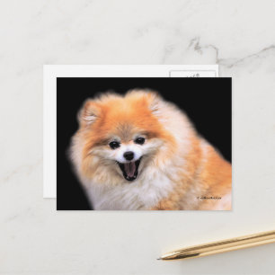Söt leende pomeranian hund vykort