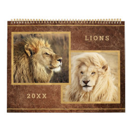 Söt Lejon-fotomålkalender Kalender
