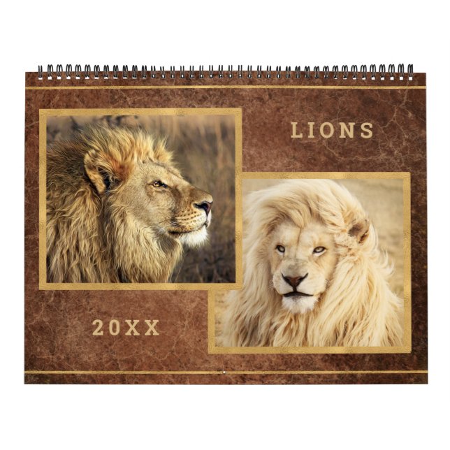 Söt Lejon-fotomålkalender Kalender (Omslag)