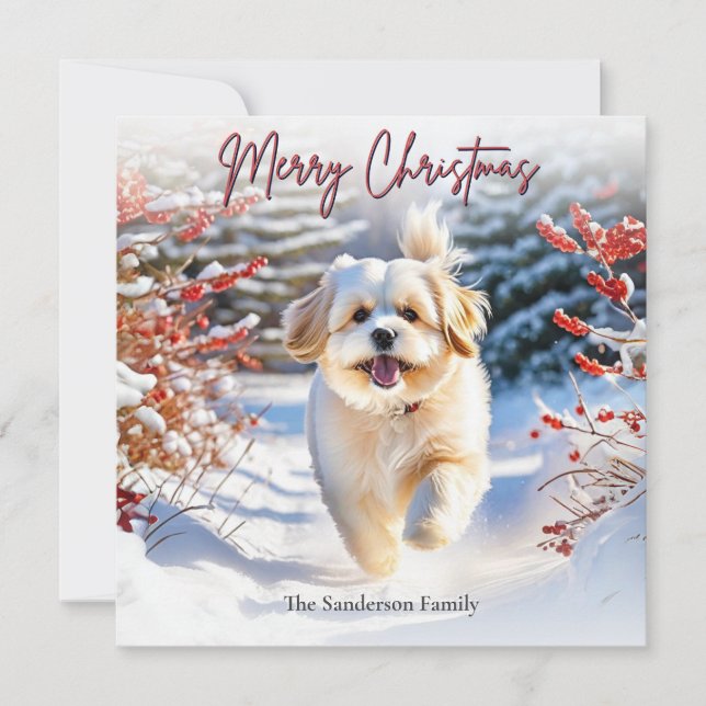 Söt Lhasa Apso hund i snö God Jul Julkort (Framsida)