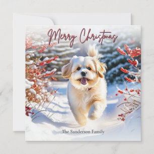 Söt Lhasa Apso hund i snö God Jul Julkort