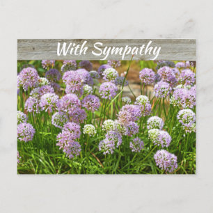 Söt Lila Allium Garden Flowers Sympathy Vykort