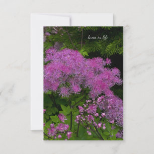 Söt Lila blommor Anteckningskort