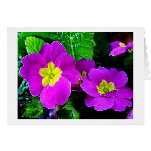 söt lila blommor hälsningskort (Framsidan Horizontal)