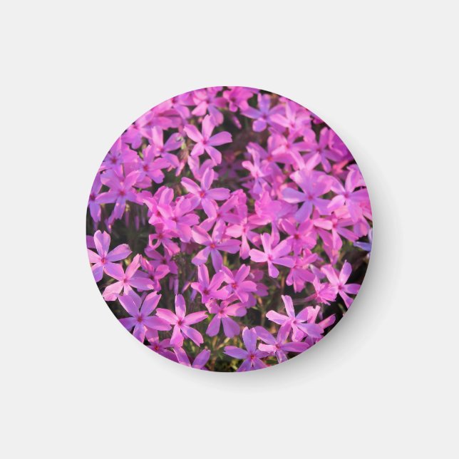 Söt Lila blommor Magnet (Framsidan)