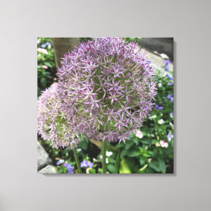 Söt Lila blommor New York City NYC Photo Canvastryck