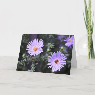 Söt Lila blommor Original Garden Photography Kort