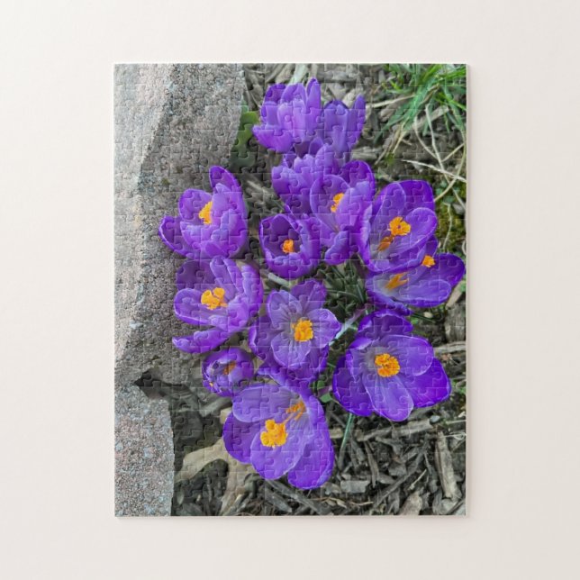 Söt Lila Crocus Flowers in Garden Puzzles Pussel (Vertikal)