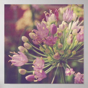 Söt Lila Flower Poster