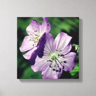 Söt Lila Geranium Flower Pair Close Up Canvastryck