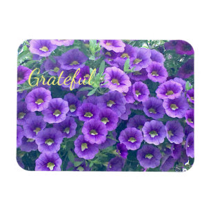 Söt Lila Gratitude Petunia Magnet