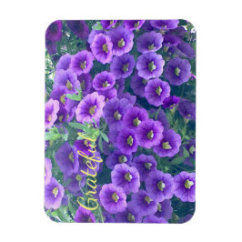 Söt Lila Gratitude Petunia Magnet