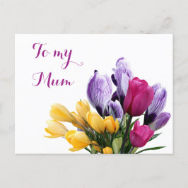 Söt lila gult rosa tulpanblommor i  av  i morsa helg vykort