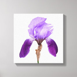 Söt lila iris blommar modern bra av blommigt canvastryck