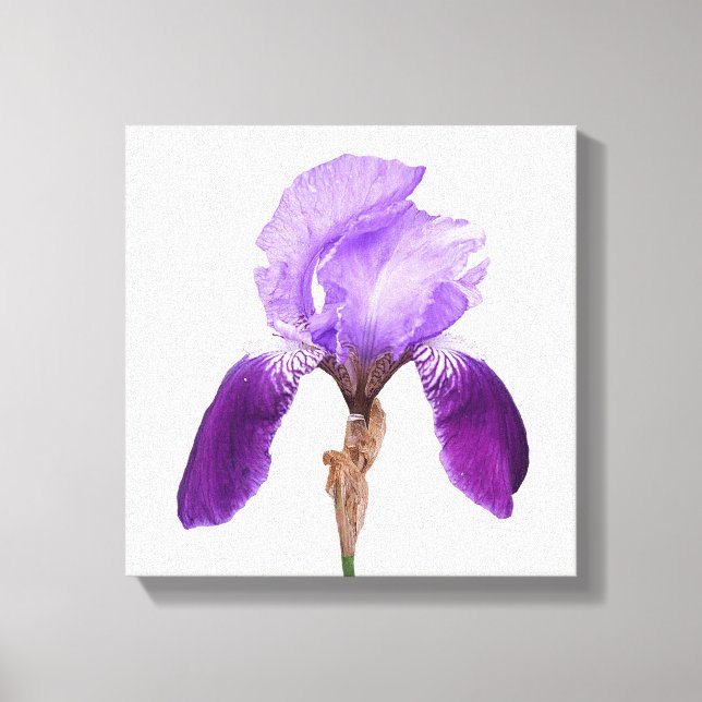 Söt lila iris blommar modern bra av blommigt canvastryck (Framsida)